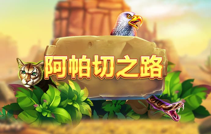开云app